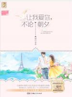 贺迟远叶微因