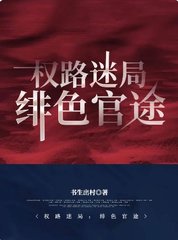 权路迷局:绯色官途
