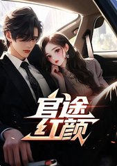 官途红颜阅读