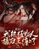 盛惜芷靳宸渊