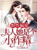 江孜顾司砚