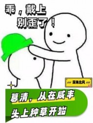 快穿:开局与慈禧同榻