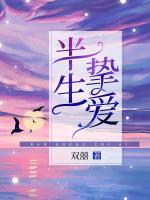 夏晚晚沈崇岸