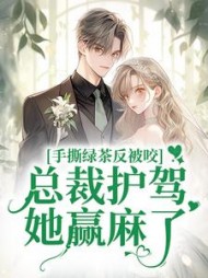 叶星洛辰阅读