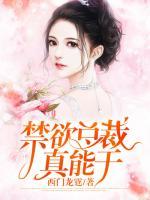 季安安北冥少玺