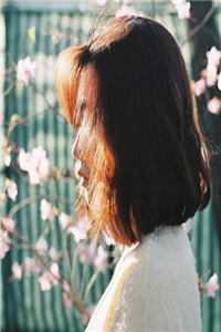 青梅缚