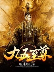 九五至尊阅读