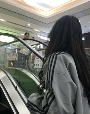 我靠宠妃系统当了秦始皇的国师