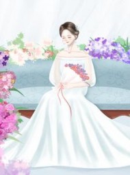 老婆大明星，我去看她的演唱会(浩然天下)阅读