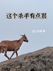 这个杀手有点狠后续+番外