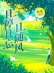 且停且忘且随风后续+番外