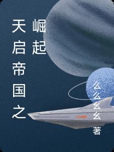 天启帝国之崛起武沐阳阅读