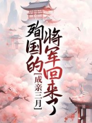 成亲三月，殉国的将军回来了+后续