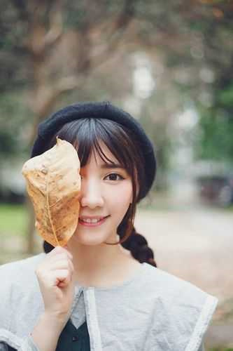 [np 完结]《万人迷反派的末世生存手册（双性总受）》作者：一只吃肉的大灰狼