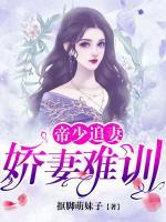 顾菡烟冷绍城